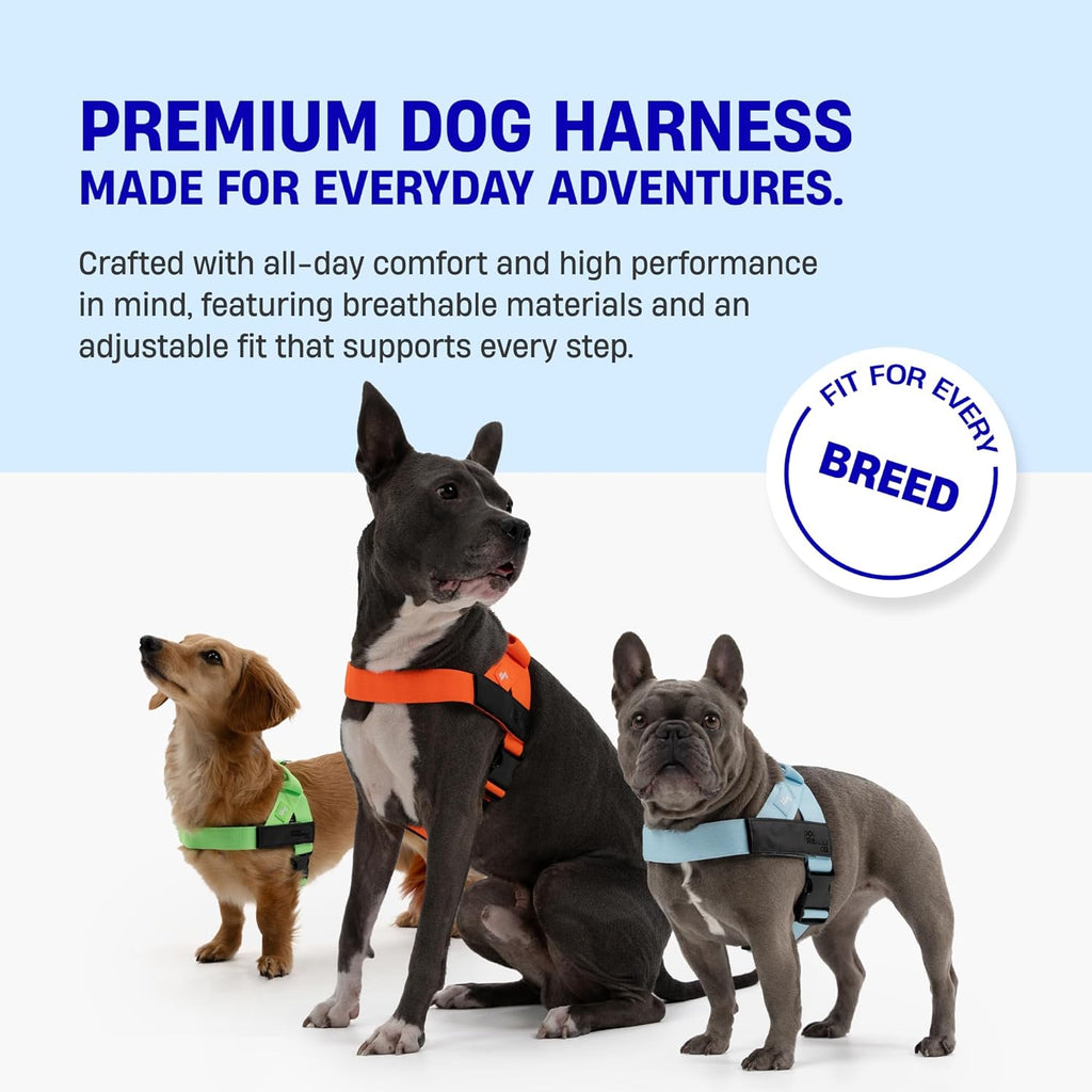 🐕 Dog Harness – Adjustable, Lightweight & Easy-to-Us