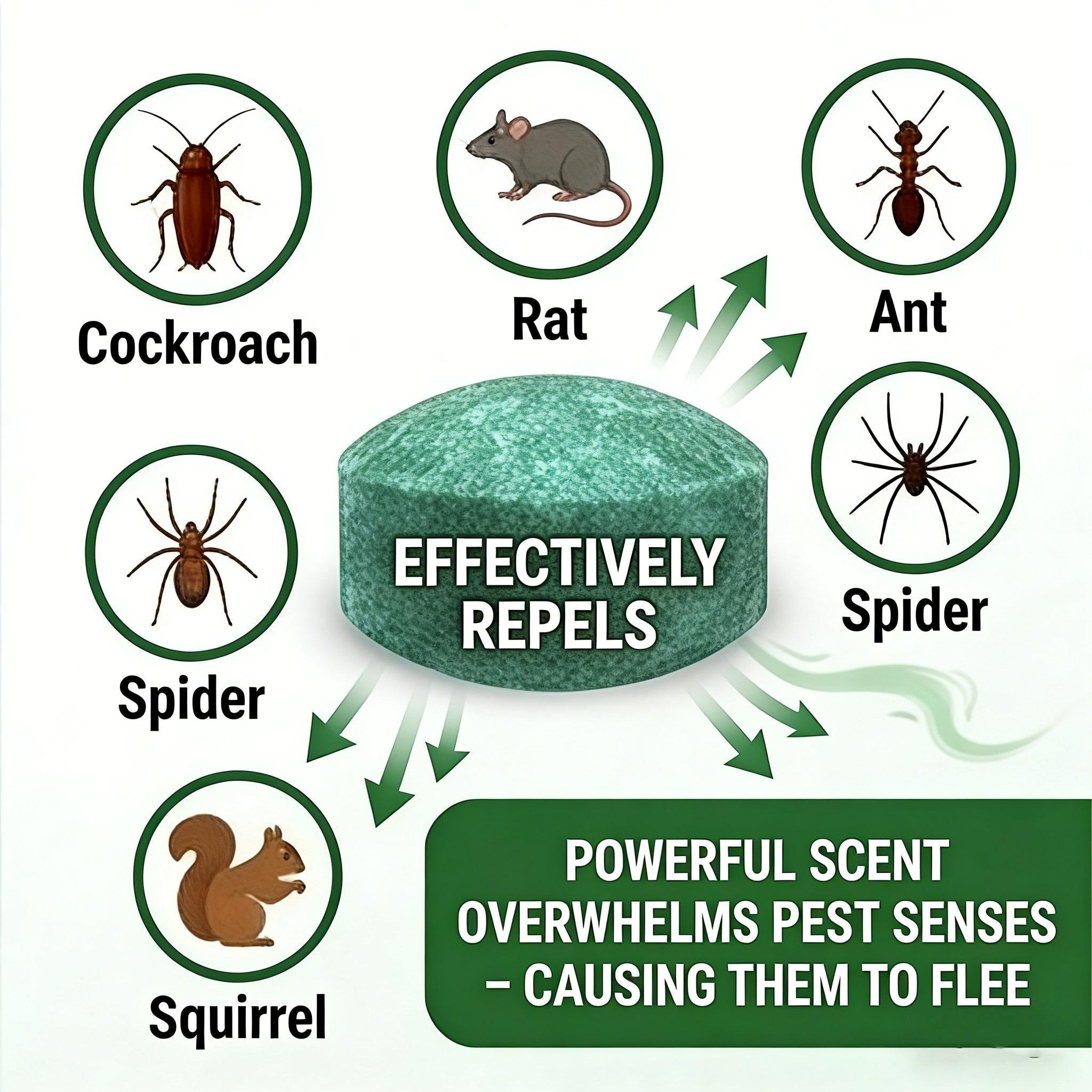 Last Day 50% OFF🟢 Natural Peppermint Rodent Repellent Tablets – 12 Pack